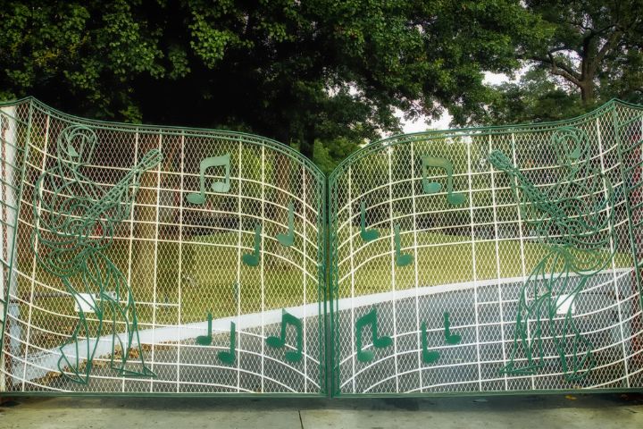 Things To Do Top 5 Must-Do Activities in Memphis